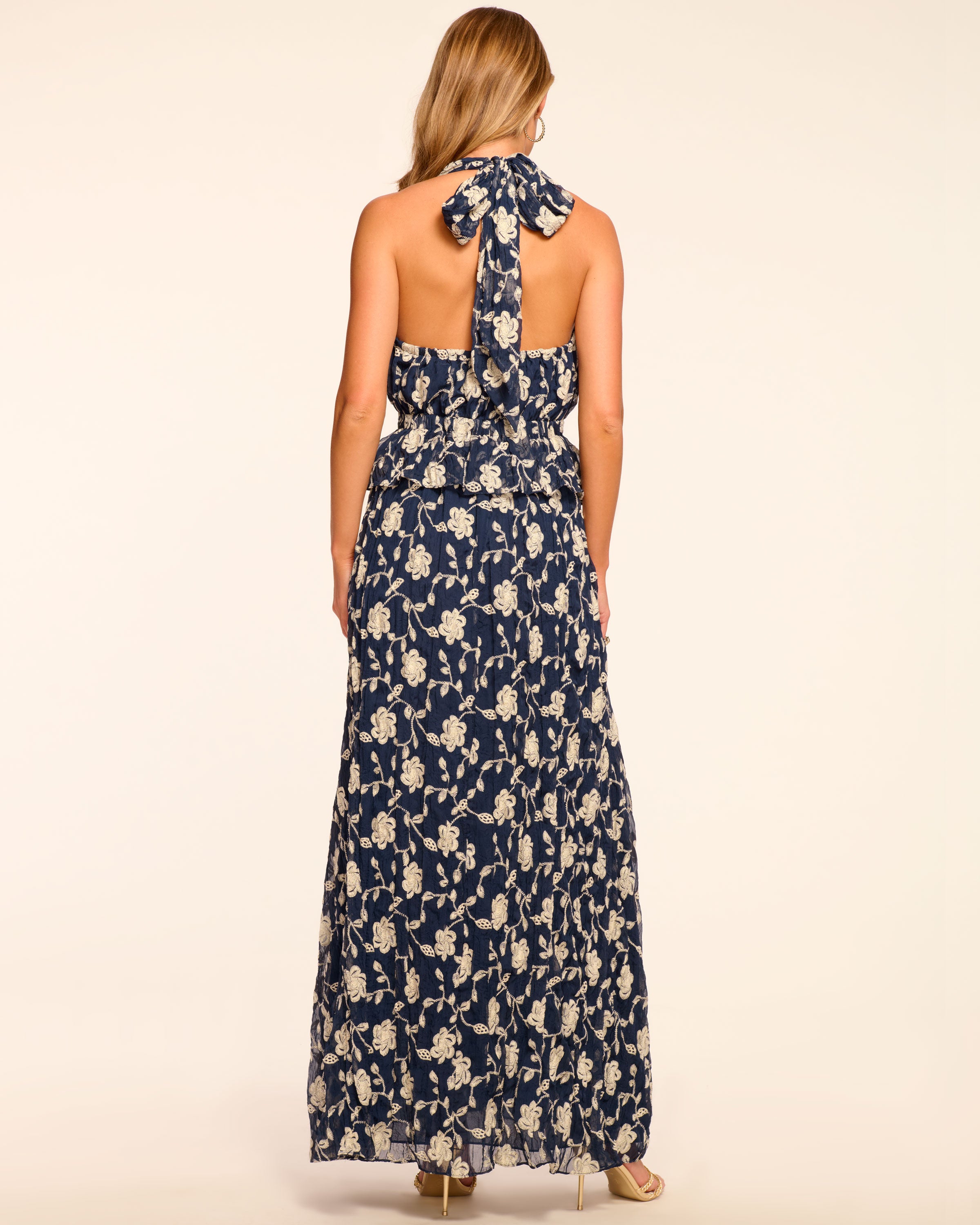 Genevieve Embroidered Chiffon Plunging Maxi Dress