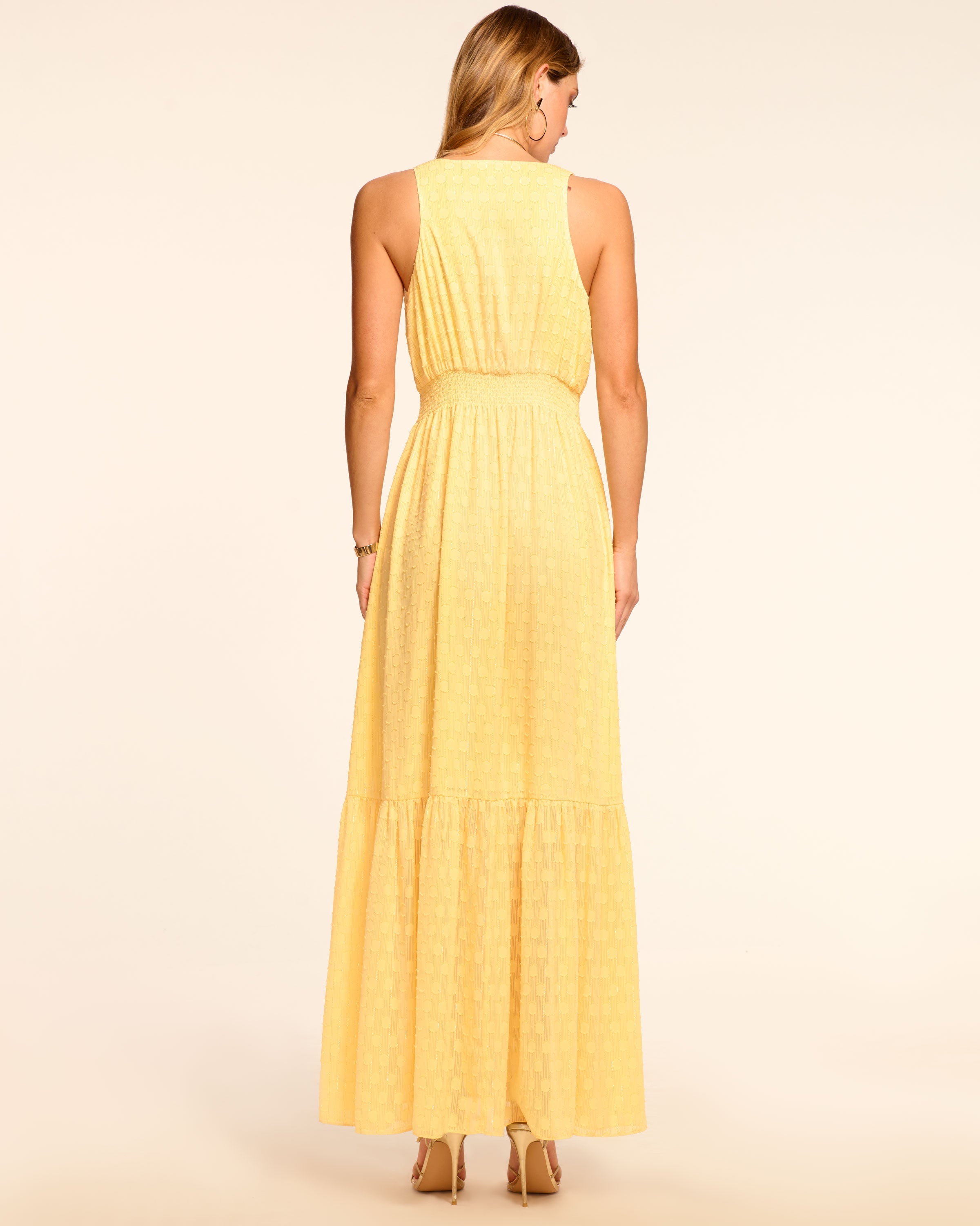 Gisela Chiffon Plunging Maxi Dress