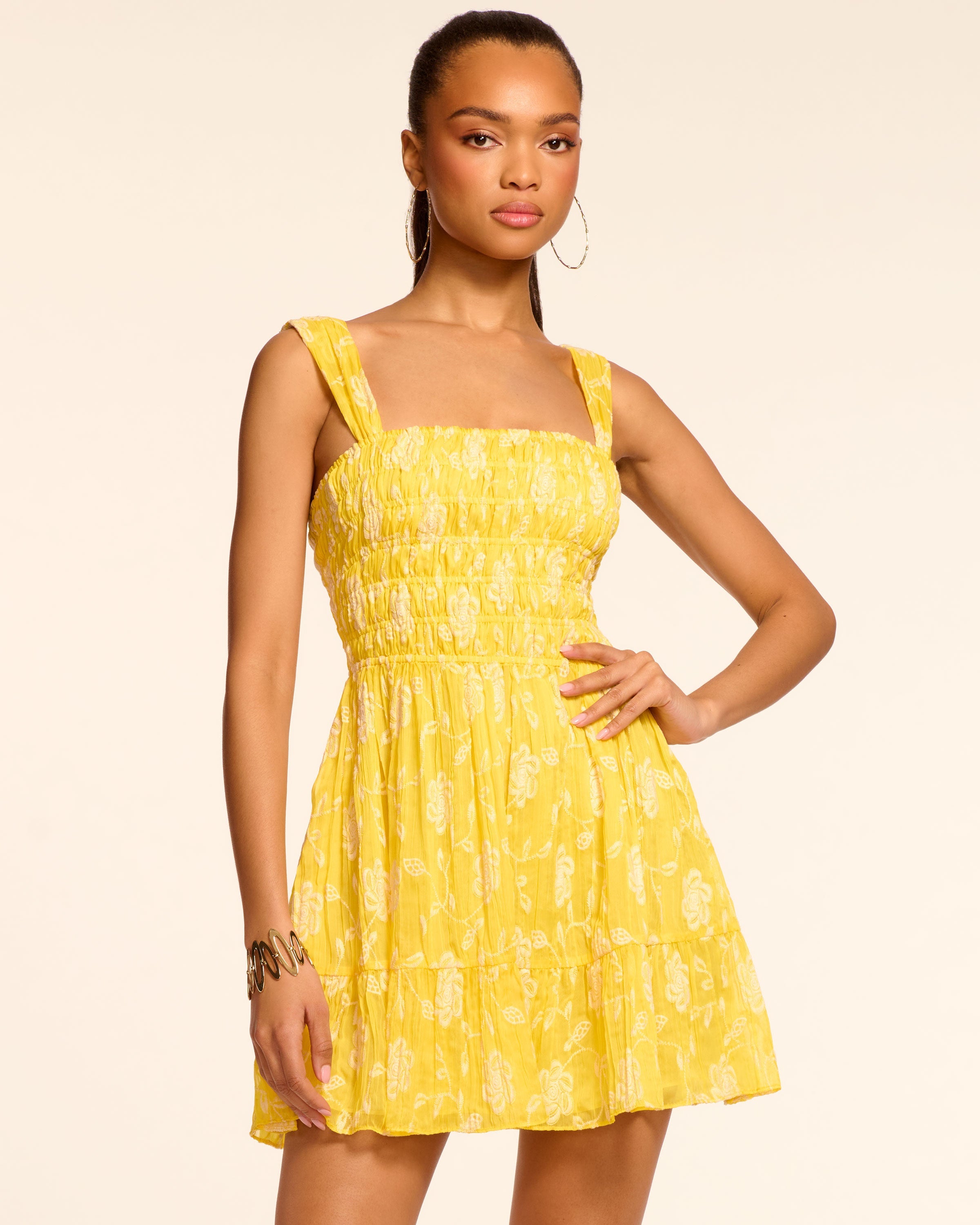Aydan Embroidered Chiffon Smocked Mini Dress